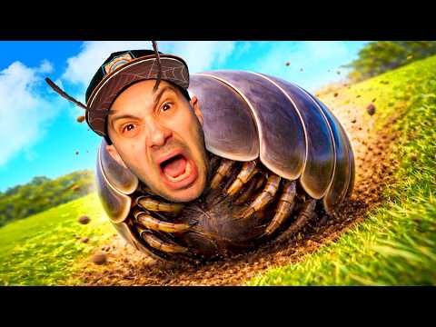 I'm a Roly Poly bug...