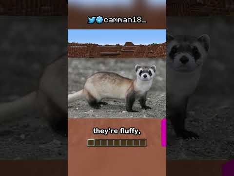 What's The Next Animal In Minecraft?