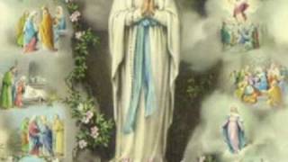 Fragole infinite per Maria