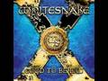 Whitesnake Best Years