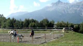 preview picture of video 'Ecuries de l'Aullagnier, Pension chevaux et poneys'