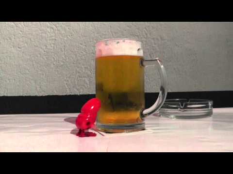 The Bermones/No Exit Split - Punk sei Dank Trailer