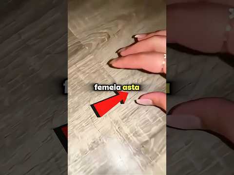 Metoda ei genială de a face bani din părul căzut! 🤯