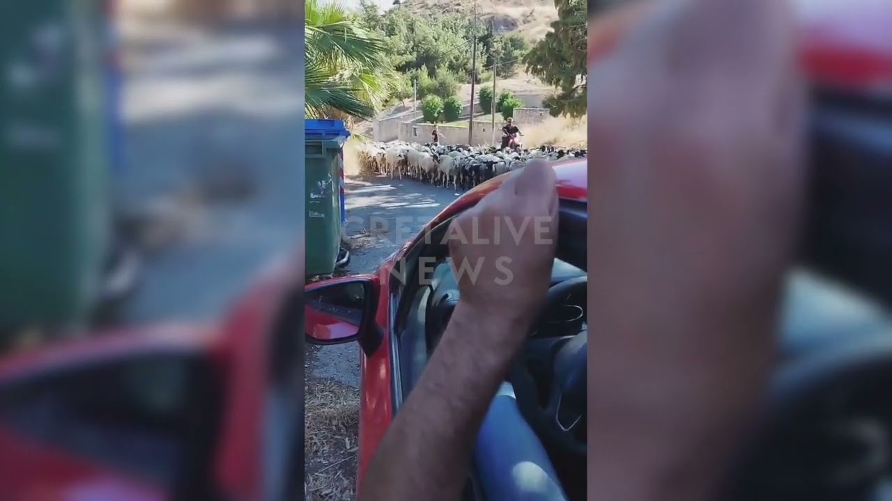 Φωτιά στο Μελιδοχώρι: Απομακρύνονται πρόβατα από την περιοχή