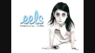 Eels - Rags To Rags