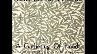 THE BEVIS FROND - HILLVIEW - Live Jam from the Woronzoid Sessions