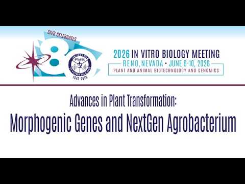 Morphogenic Genes and NextGen Agrobacterium