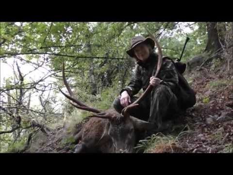 Alter Hirsch in den Rhodopen erlegt - Hirschbrunft in Bulgarien
