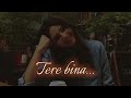 Tere Bina Besuwadi Slowed And Reverb Axonnaru