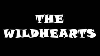 THE WILDHEARTS - NOTHING EVER CHANGES