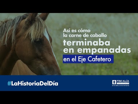 Así es cómo la carne de caballo terminaba en empanadas en el Eje Cafetero