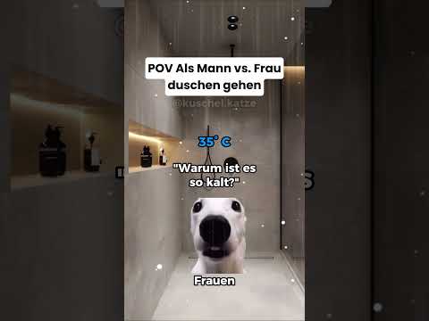 Folgt für mehr 😂#katze #katzen #katzenvideos