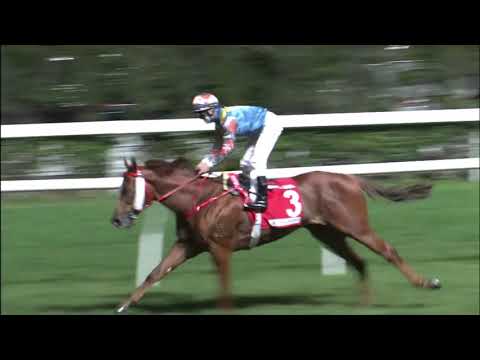 23/12/2020 (291) Grateful Heart -  Z Purton