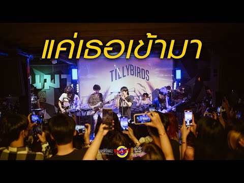 แค่เธอเข้ามา - Tilly Birds [Live] @ RINMA