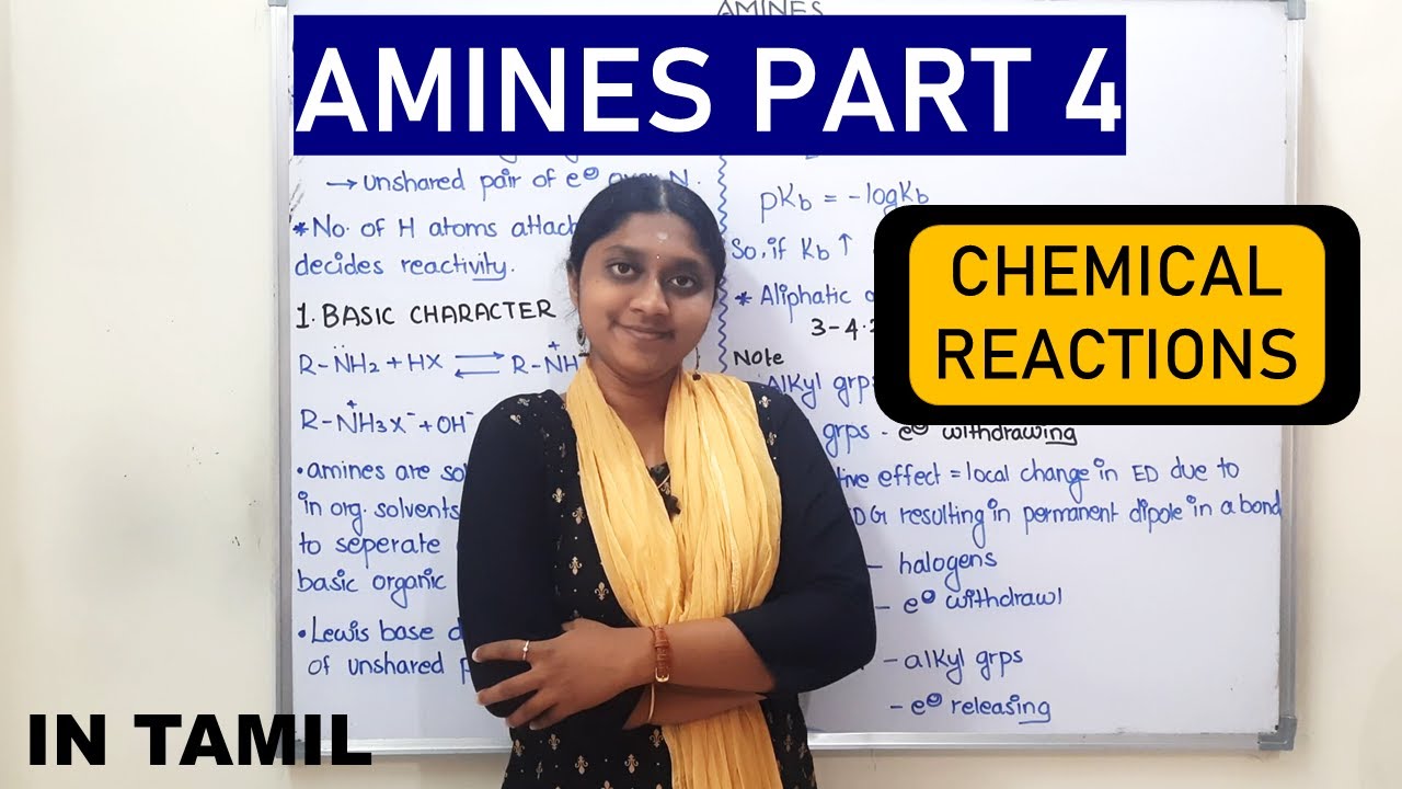 Amines Part 4 (REUPLOADED) | In Tamil | Chemical Reactions | Class 12 | #Term2 | Basicity |