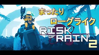 Risk of Rain2
