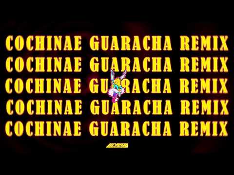 COCHINAE GUARACHA REMIX 🍭🚀💥