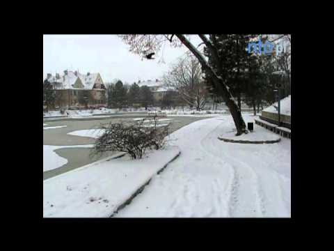 Na fontannie w Opolu będzie ślizgawka