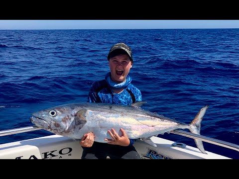 IFISH Airlie Beach Dogtooth Tuna