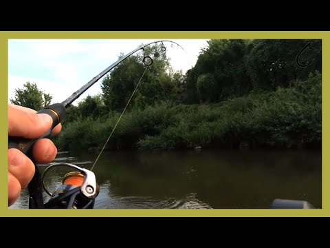 Urban fishing, ultralight chub spinning on a small river - Ultra light river chub fishing uncut #6