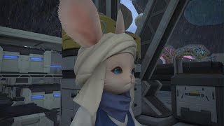 いま、コスモ・フライパン(９段階め)まで強化したとこ　ファイナルファンタジーXIV_20250906104107