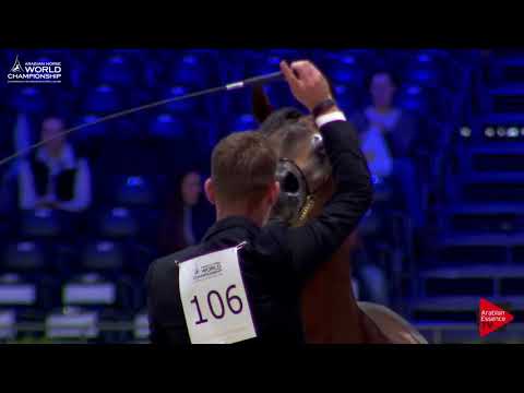 N.106 MORION - Paris 2017 - Senior Stallions (Class CM6A)