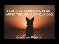 HEALING YOUR BROKEN HEART AFTER THE DEATH OF YOUR DOG