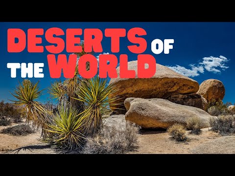 Deserts of the World | Learn interesting facts about different deserts from around the world