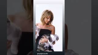 Taylor Swift introducing her two cats