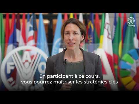 Institutionnalisation des données forestières: Cours tutoré en ligne