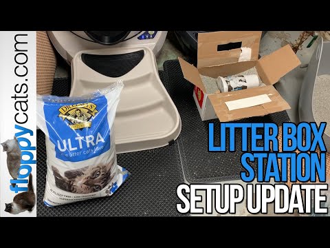 Our Current Litter Box Station Setup - YouTube