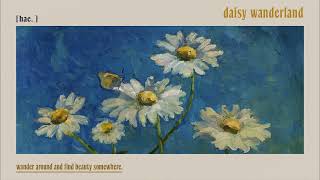 daisy wanderland.