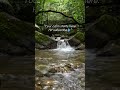 9 Seconds Of Pure Peace Nature Sounds For Sleep Focus And Relaxation No Music 4K