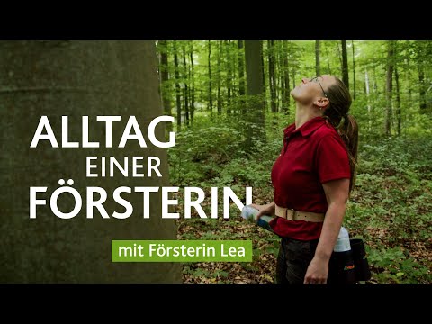 Alltag einer Försterin - mit Lea bei der Waldarbeit