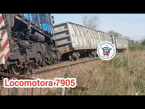 DESCARRILO Tapebicuá Corrientes TRENES Argentinos Urquiza Cargas Mesopotámico Locomotora 7905