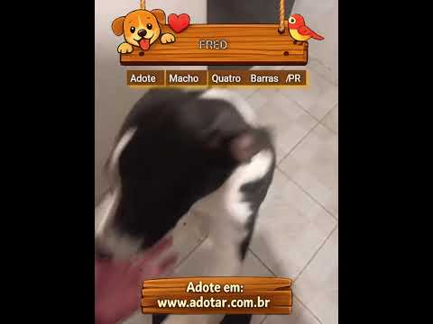 Vídeo de FRED