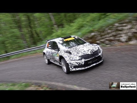 Rally Piancavallo 2019 Action | Mistakes