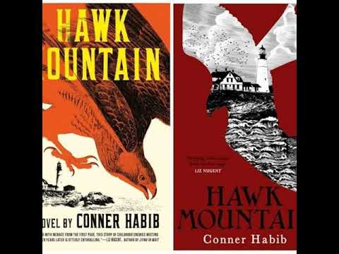 Hawk Mountain By Conner Habib