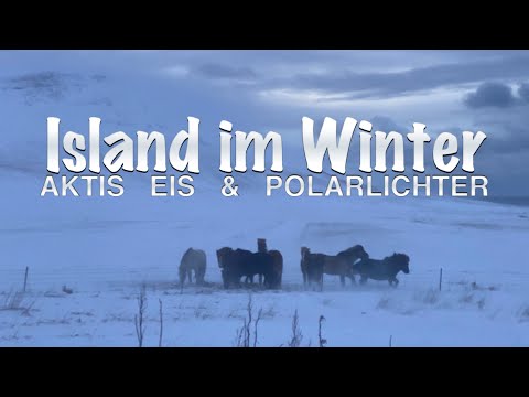 Island im Winter – Reisedoku über Eis, Schnee & Polarlichter (Island Doku | Golden Circle)