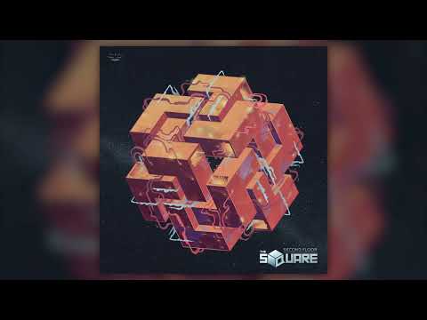 The Square - Animalia