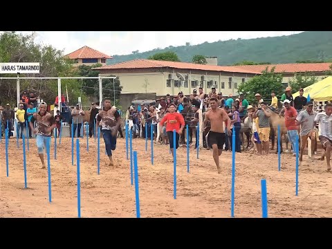 CORRIDA DE CAVALOS em Paquetá do Piauí | Tradicional Festa de Vaqueiro