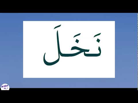 Read Arabic easily _Video 6 to 10 ✅