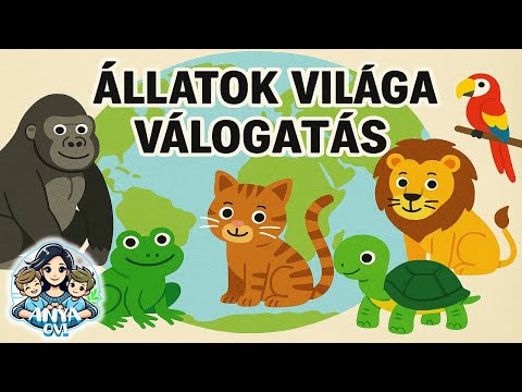 Az állatok világa (100 állat 34 perc)#állatok #állatokról #gyerekeknek #mese #oktatóvideó #pets
