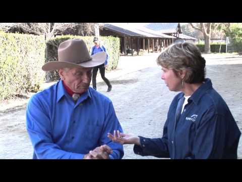 MONTY ROBERTS – HORSES CAN TEACH WORLD LEADERS NON-VIOLENCE