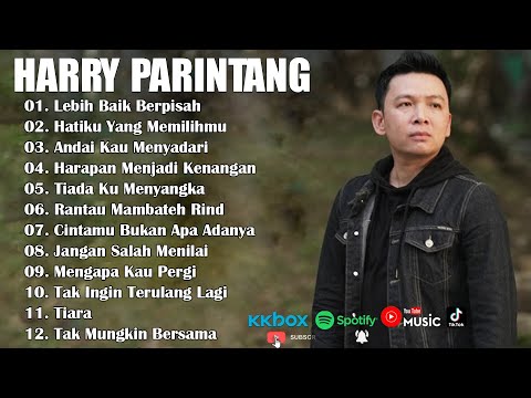 HARRY PARINTANG LAGU GALAU BIKIN BAPER  Andai Kau Menyadari
