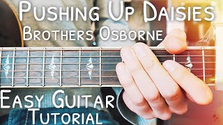 Pushing Up Daisies Brothers Osborne Guitar Lesson for Beginners // Pushing Up Daisies Guitar // #458