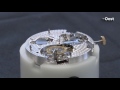 Horlogemakers Bart en Tim Grönefeld uit Oldenzaal winnen Grand Prix d'Horlogerie