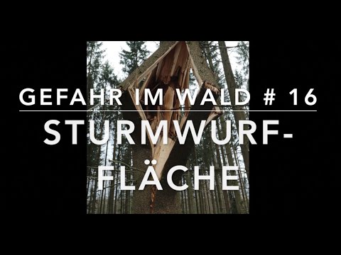 Storm Throw - "Danger" in the Forest #16