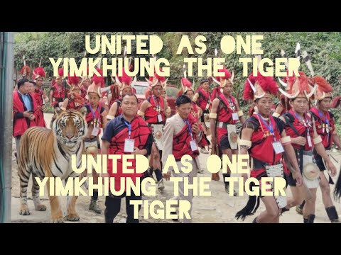 United as one// (Yimkhiung the tiger)