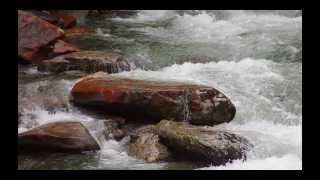 Erin&#39;s Acapella Version of River God by Nichole Nordeman